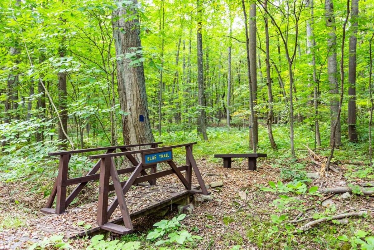 Huge Cabin W Hot Tub, Deck, Grill, Fire Pit, Wifi เบิร์กลีย์สปริงส์ ภายนอก รูปภาพ